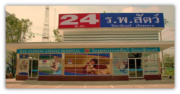 rtb-animal-hospital-express-khae-rai-1