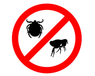 Prohibition sign for fleas and ticks on white background