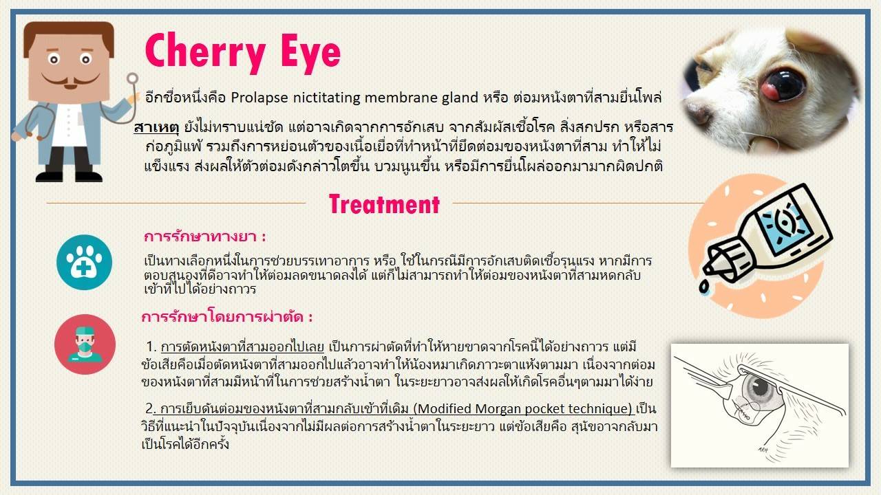 Cherry Eye RTB Group