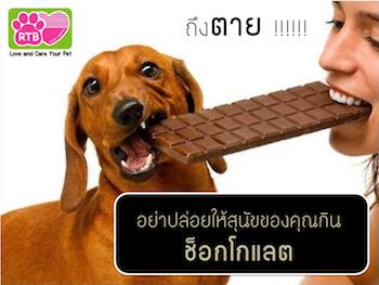choco-page-001_title